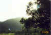DiamondHead-23 CraterSunset 2-16-02.jpg (117820 bytes)