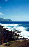 Kaena Point 13 2-21-02.jpg (129058 bytes)