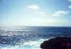 Kaena Point 14 2-21-02.jpg (122923 bytes)