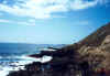 Kaena Point 16 2-21-02.jpg (119216 bytes)
