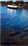 PearlHarbor-13 Arizona 2-18-02.jpg (123635 bytes)