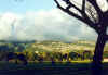 QueenKapiolaniPark-1 2-14-02.jpg (104038 bytes)
