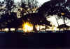 QueenKapiolaniPark-5Sunset 2-14-02.jpg (128889 bytes)