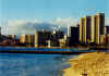 WaikikiHawaii-2-14-2002.jpg (123900 bytes)