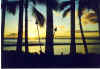 WaikikiSunset-4 -2-14-2002.jpg (179162 bytes)